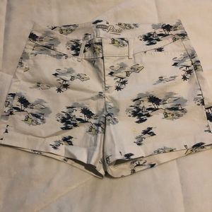 Beach Patterned Shorts